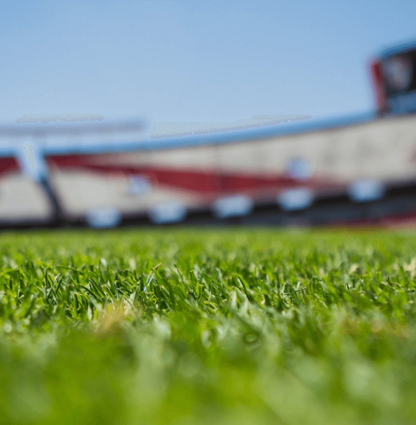 Élőfüves stadionpálya közelről